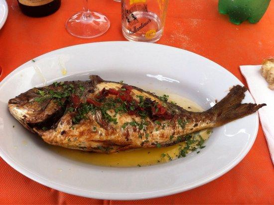 Ristorante trattoria Jose Carioca