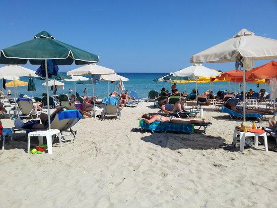 Fedra Taverna