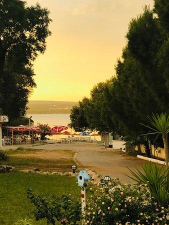 Blue Restaurant