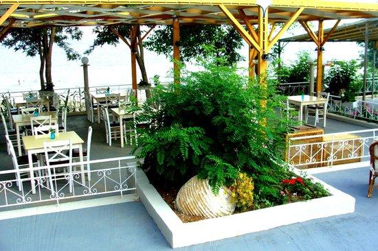 Mariposa Restaurant