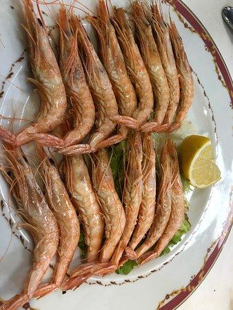 La Arboleda