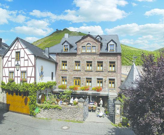 Gutshof Zenz Weingut