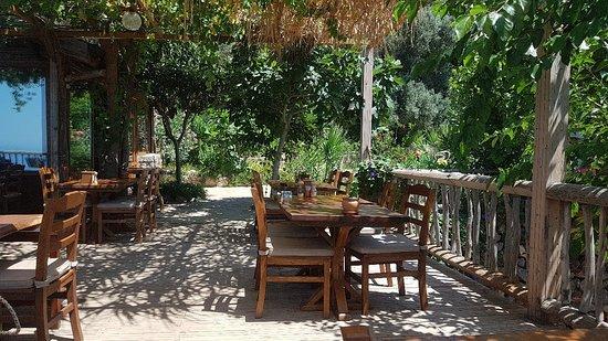 Olive Garden Kabak