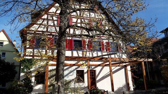 Taverne Olivenbaum
