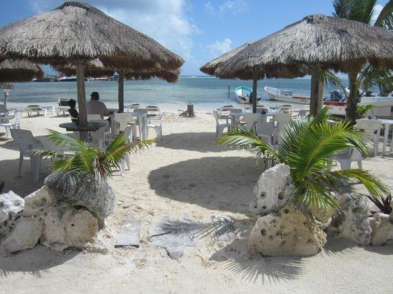 Machos Bar