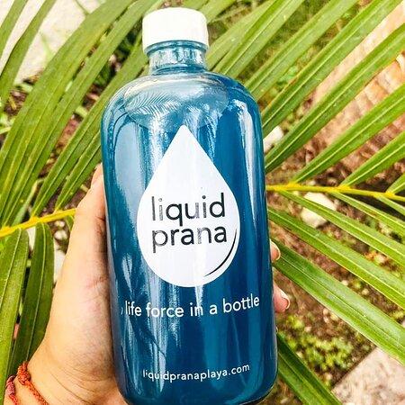 Liquid Prana Cold Pressed Juices