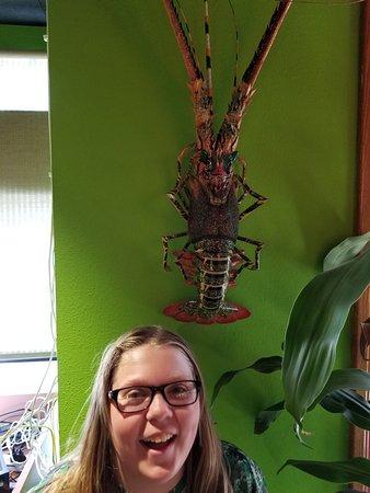 Obi's Sushi Bar & Grill