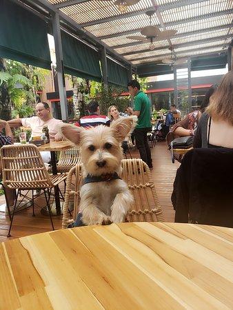 Frutaria Restaurante