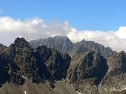 Bradavica