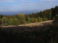 Wdzary Wyzne