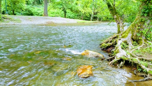 Oconaluftee Island Park