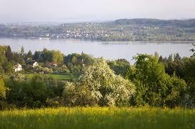 Hodingen