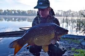 Kleine Plas