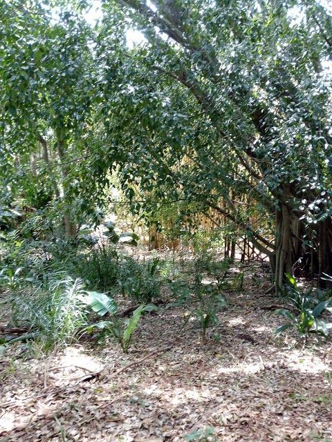 Skyline Nature Reserve