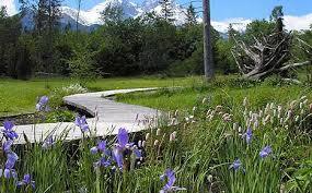 Exposition of the Tatra Nature