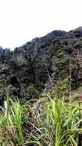 Gunung Ulu Kali