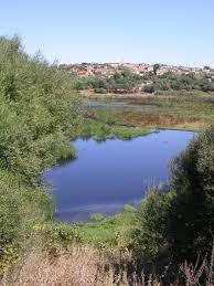 Lac de Réghaïa