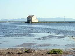 Parque Natural de las Salinas de San Pedro