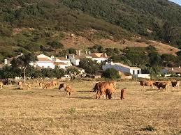 Vilarinha