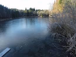Loidlsee