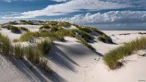 Amrumer Dunen