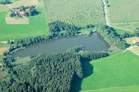 Holzmuhleweiher