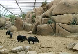 Burgers' Desert