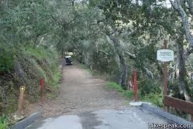 Sycamore Crest Trail