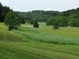 Kupferbachtal bei Unterlaus