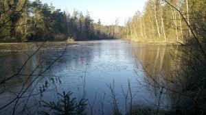 Kitzelsee