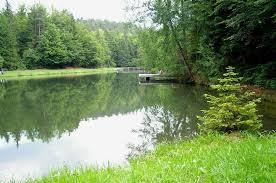 Buchwiesweiher