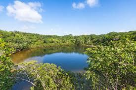 Cottage Pond