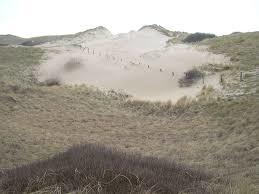 Nordhollandisches Dunenreservat