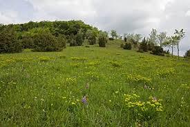 Apfelberg