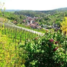 Freudenstein