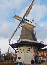 Molen de koe