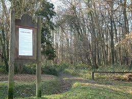 Chigny Woods