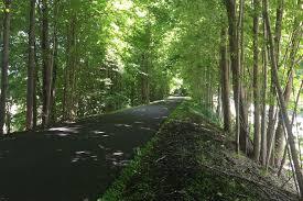Hudson Valley Rail Trail