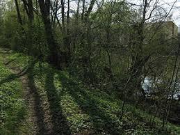 Alter Neckar