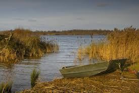 Willington Gravel Pits Nature Reserve
