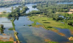 Millingerwaard