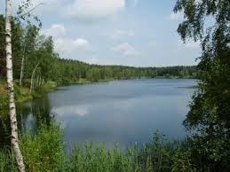 Waldsee