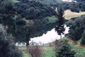 Piscina Morta