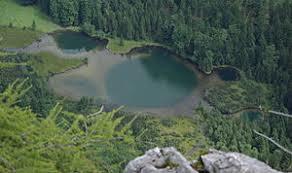 Falkensee