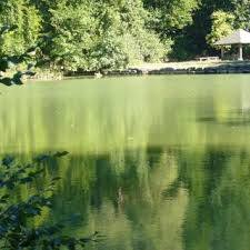 Paulinensee