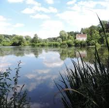 Heverleebos