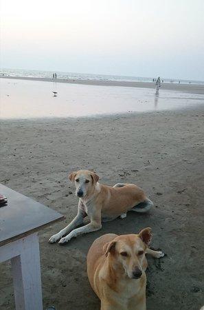 Cafe Lucky Star Beach Shack