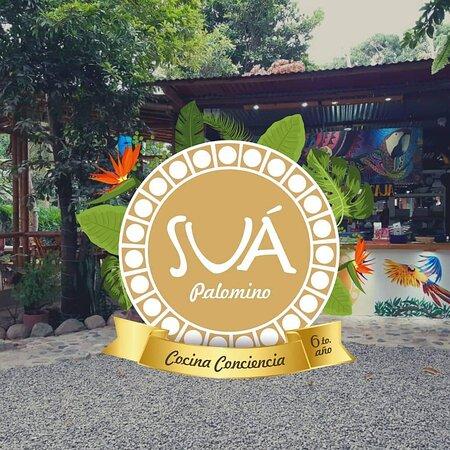 Sua Palomino