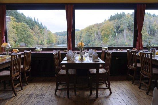 Seehaus Forelle
