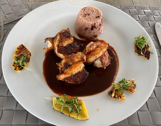 Kookaburra Cuernavaca